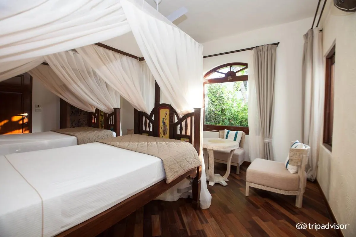 Essque Zalu Zanzibar