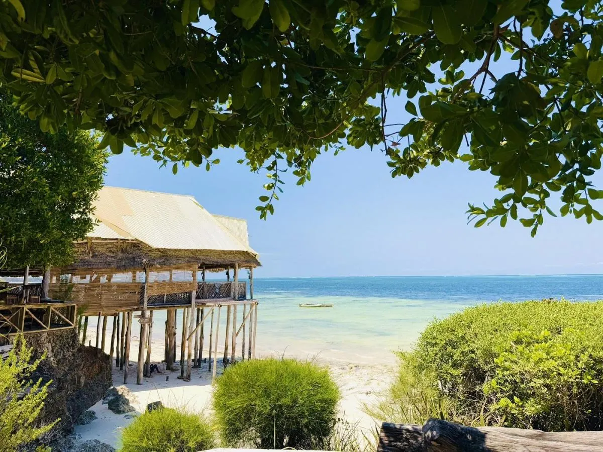 Z-Breeze Zanzibar