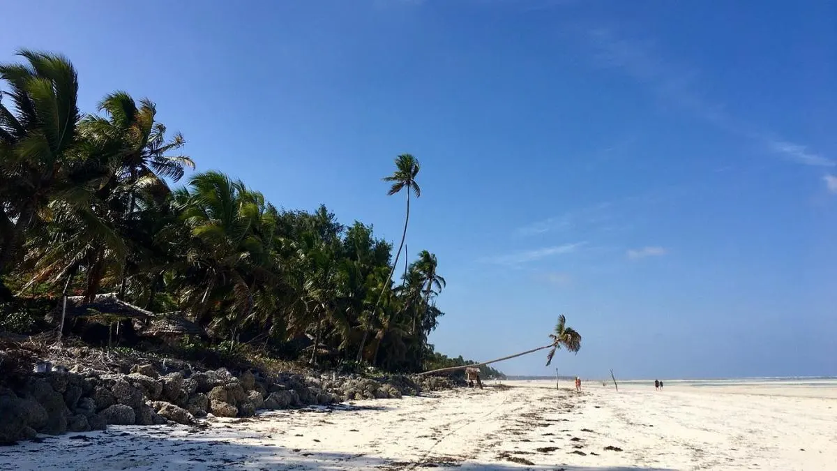 Paradise Beach Bungalows