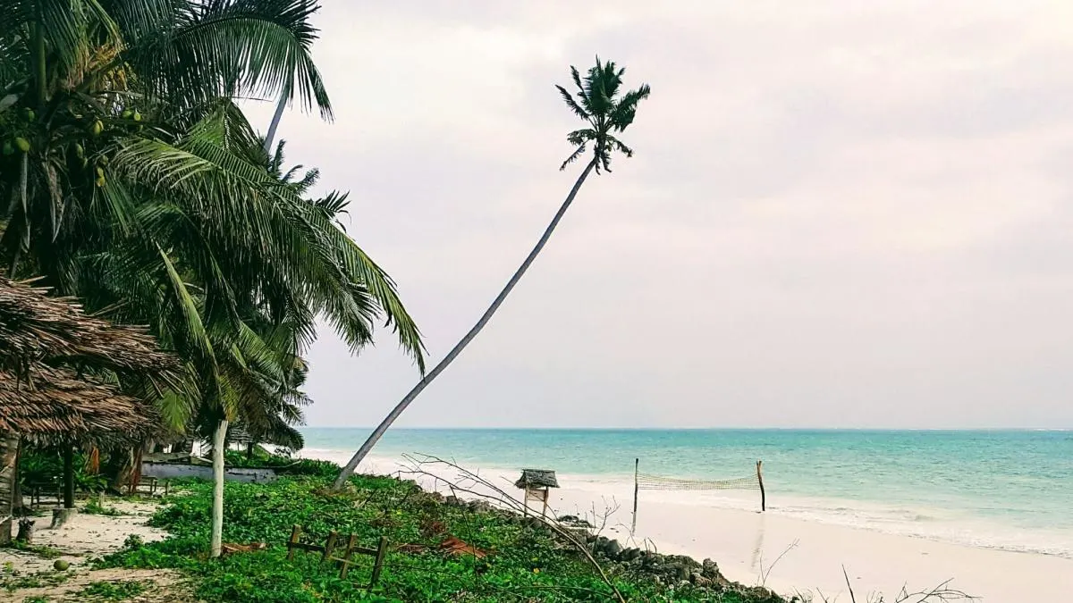 Paradise Beach Bungalows