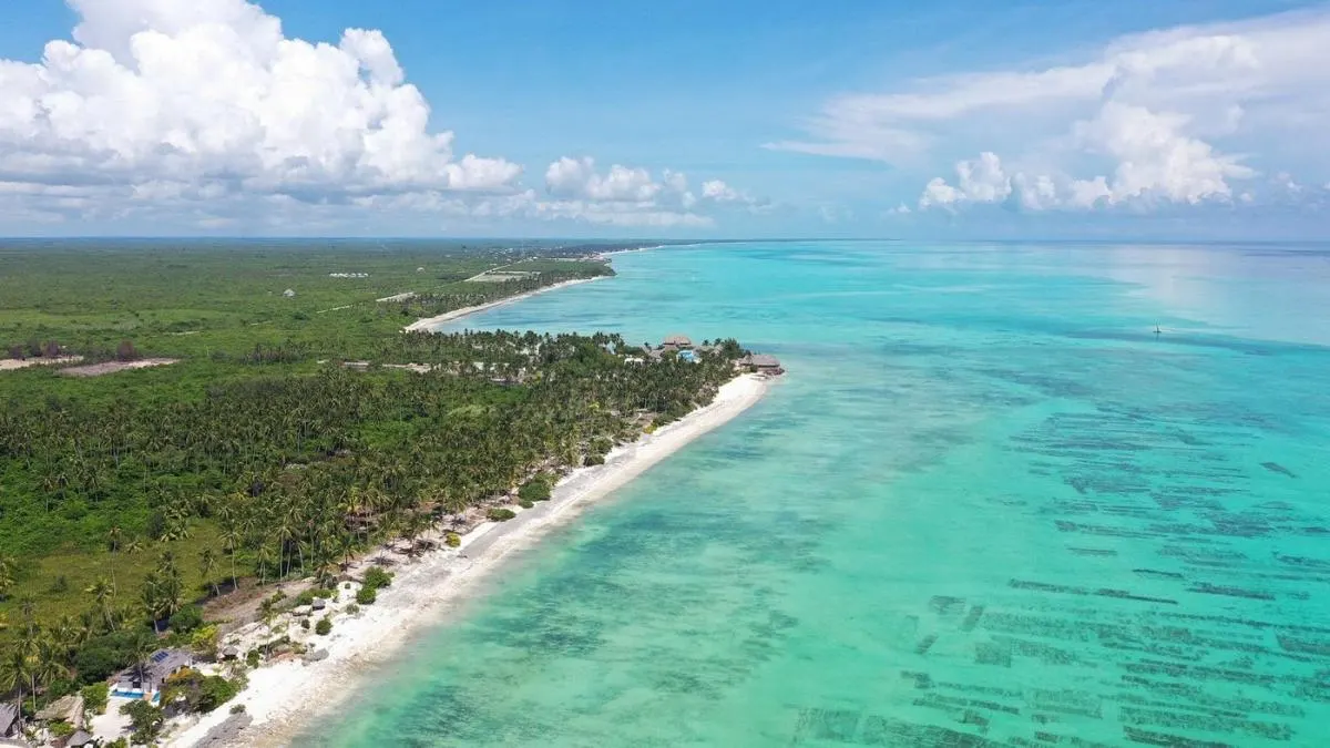 Blue Moon Resort